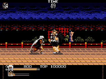 Mystical Fighter (USA) screen shot game playing
